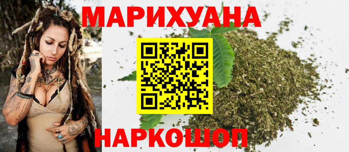 Канабис планчик Владимир